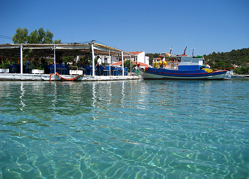 Taverna Posidonio i Posidonio på Samos.