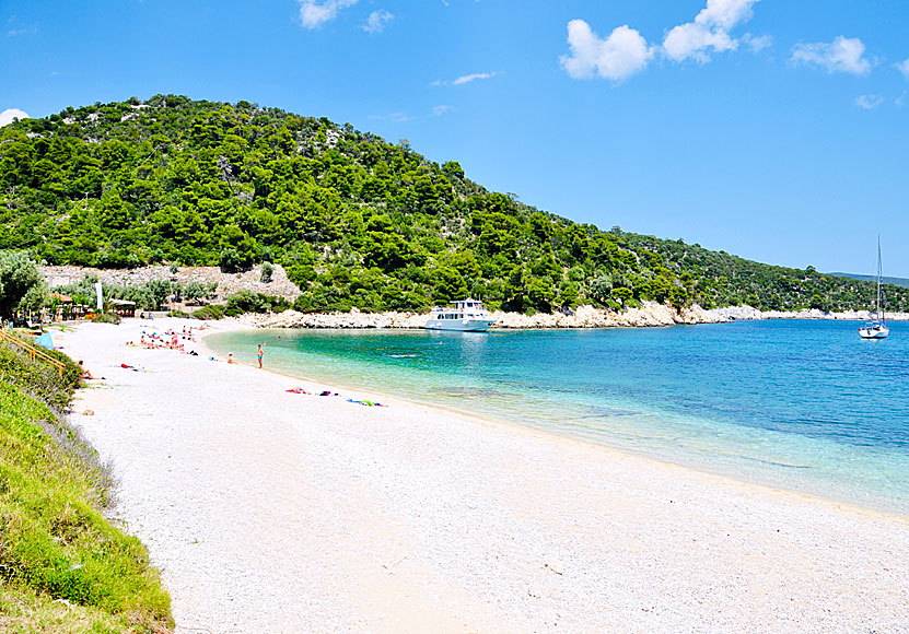 Leftos Gialos beach på Alonissos i Grekland..