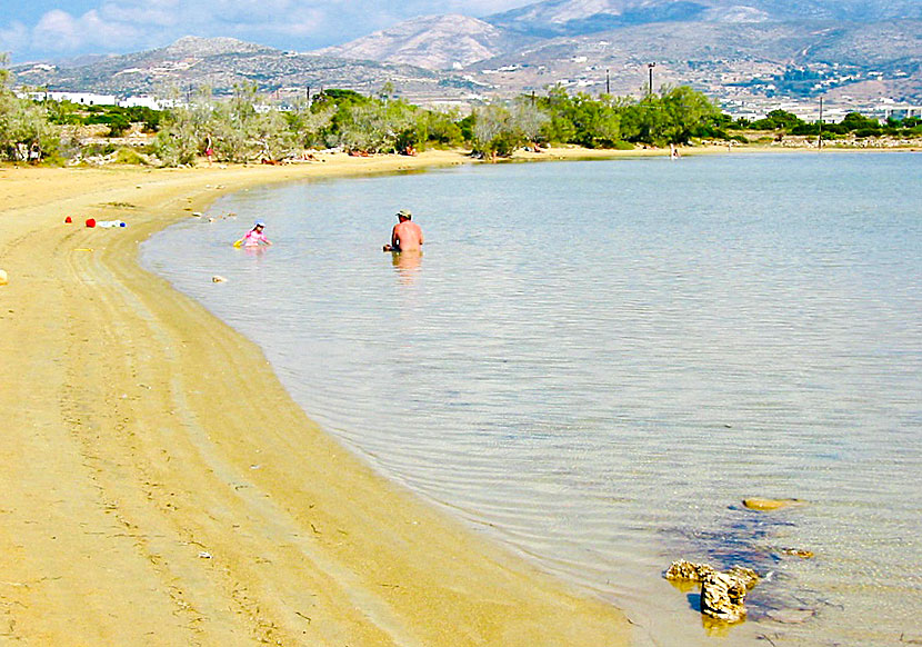 Agios Spiridonas beach, eller Baby beach på Antiparos är en av de mest barnvänliga sandstränderna i Kykladerna.