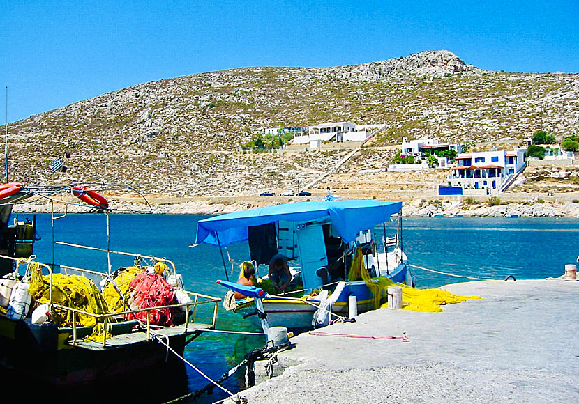 Färsk fisk och färska skaldjur i Vlychadia på Kalymnos.