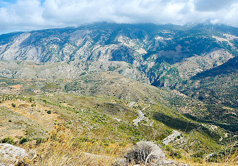 Ravinen Agia Irini Gorge ovanför Sougia passar dig som tycker om att vandra. 