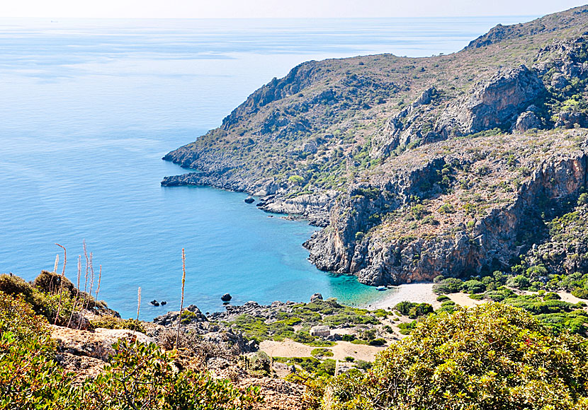 Missa inte vandringen till Lissos när du reser till Sougia på sydvästra Kreta.