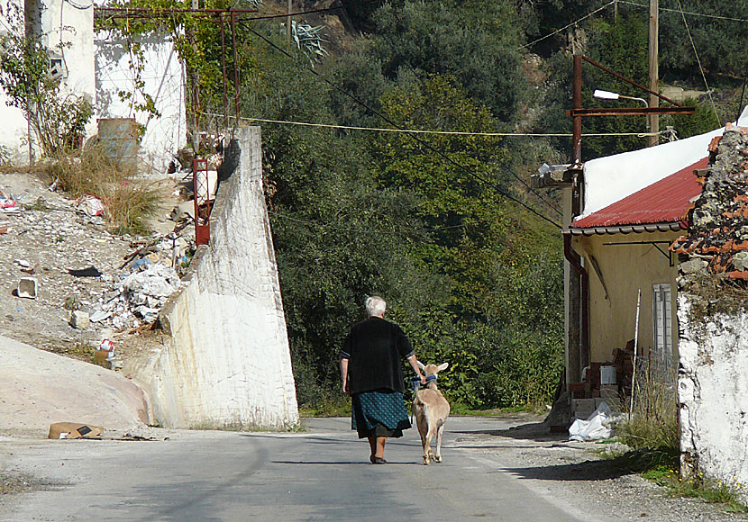 Det genuina Kreta, utan massturism, hittar du i byn Lakki, längs vägen till Samariaravinen. 