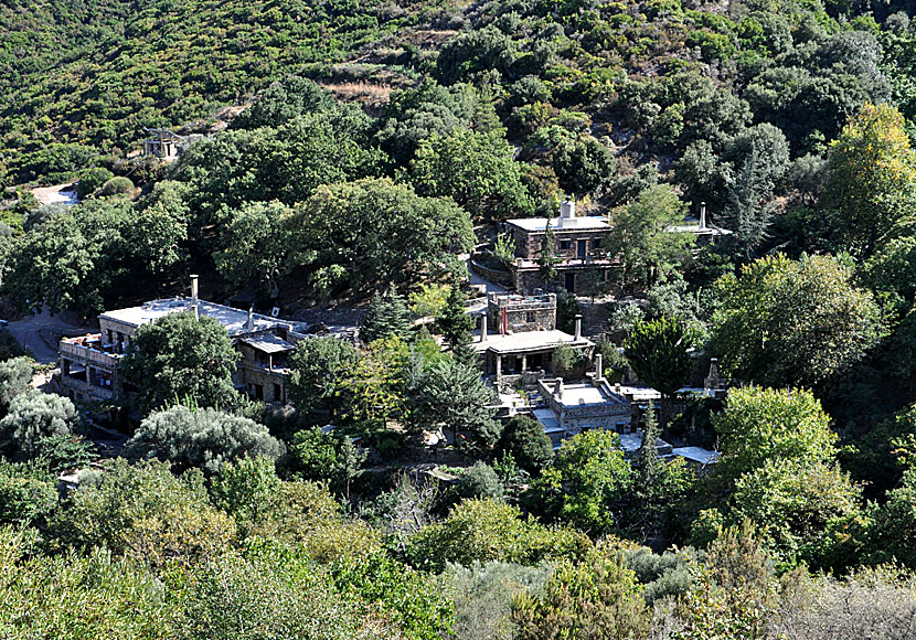 Den ekologiska byn Milia på Kreta.