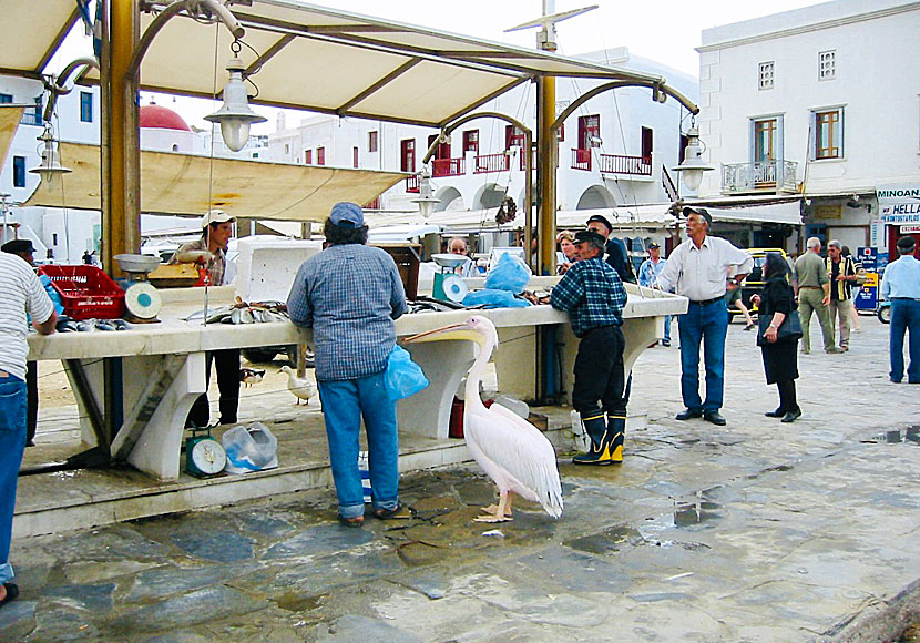 På fiskmarknaden i Mykonos stad kan du köpa färsk fisk och skaldjur varje morgon.