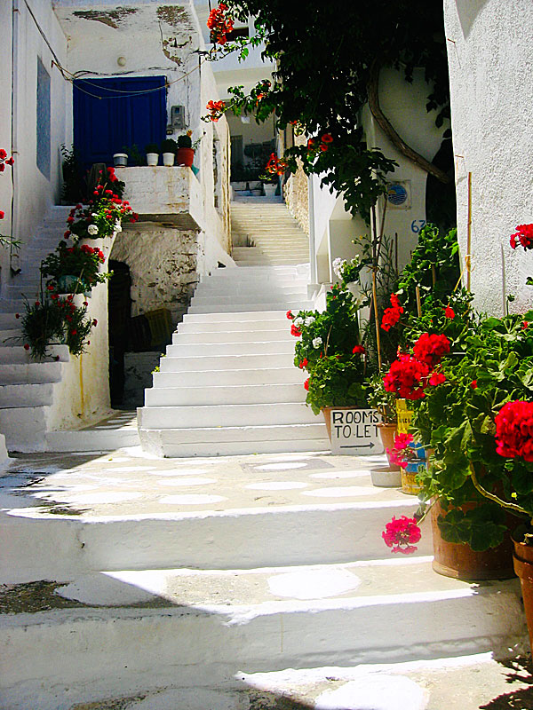 Bra hotell och pensionat i Apollonas på Naxos.