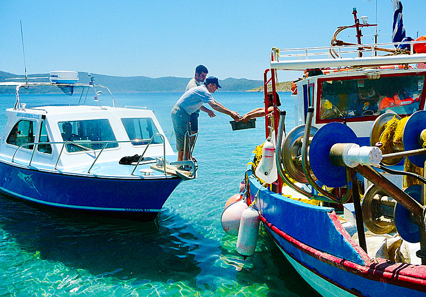 Posidonio på Samos kan du frossa i färsk fisk och skaldjur efter badet i det kristallklara snorkelvänliga vattnet. 