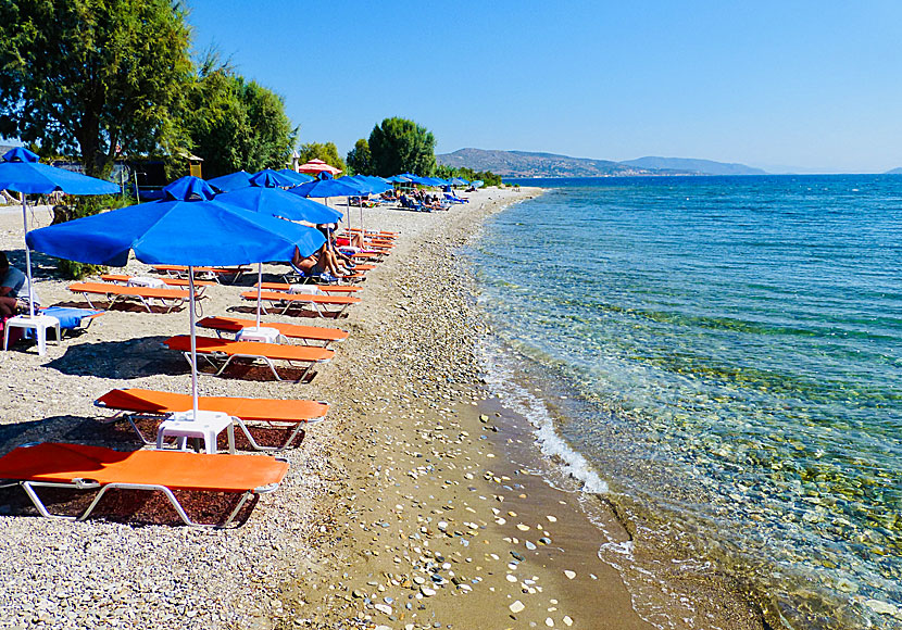 Ireon beach nära Pythagorion på Samos.