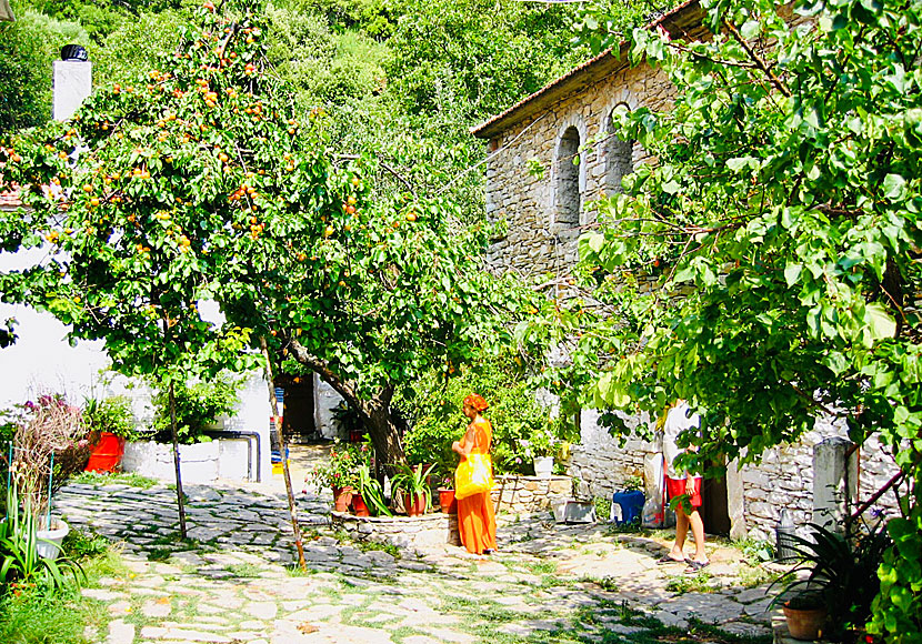 Klostret Evangelistria Monastery är Skiathos viktigaste sevärdhet. 
