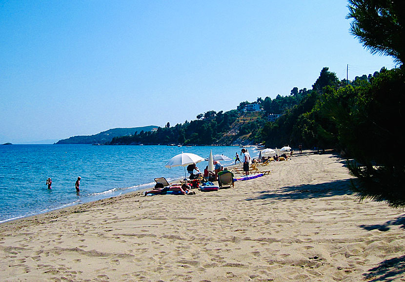 Mitikas beach på ön Skiathos i Grekland.