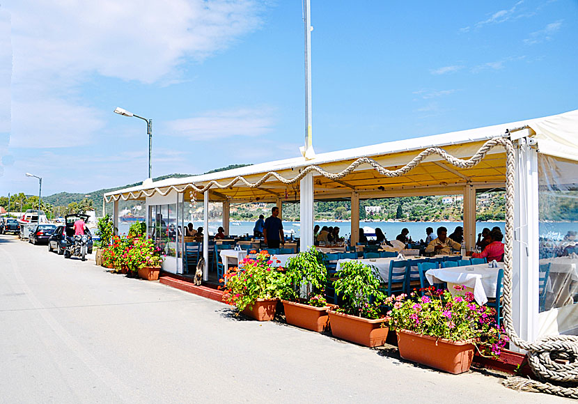 Taverna Akrogiali är en av de bästa restauragerna i Skiathos stad. 