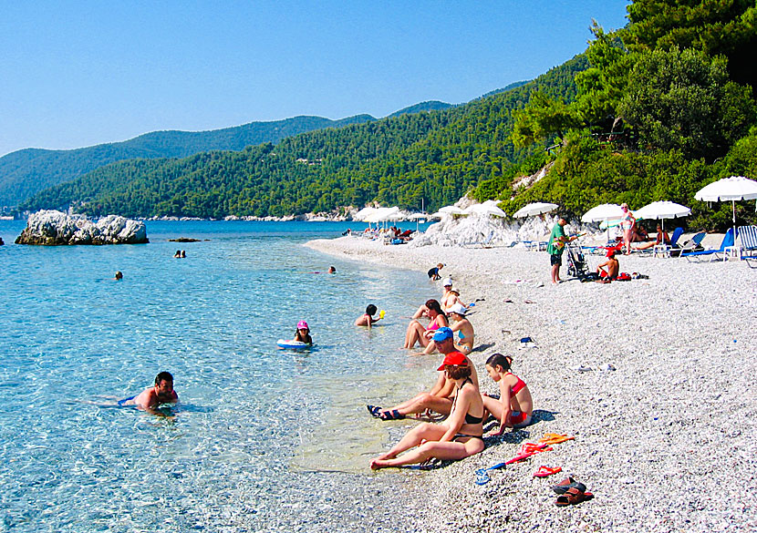 Milia beach är en av Skopelos mest barnvänliga strändr.