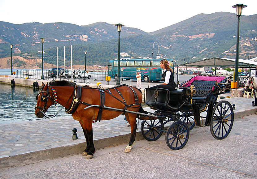 Åka hästdroska längs hamnpromenaden i Skopelos stad.