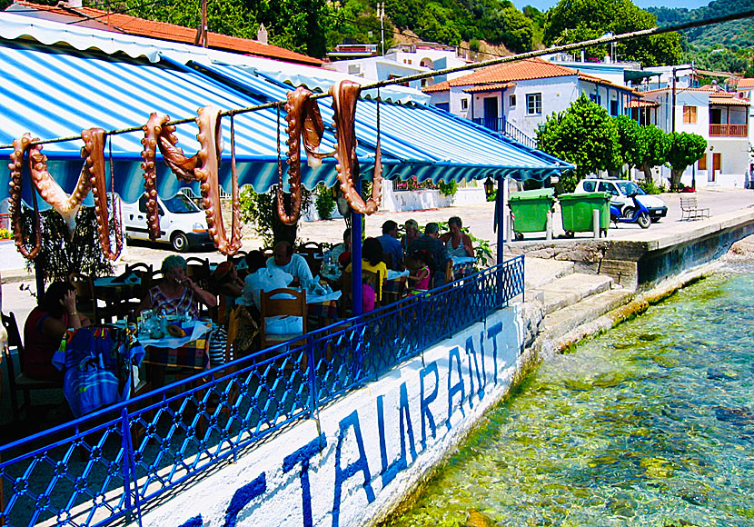 Fiskrestaurangen Flisvos i Loutraki på Skopelos.