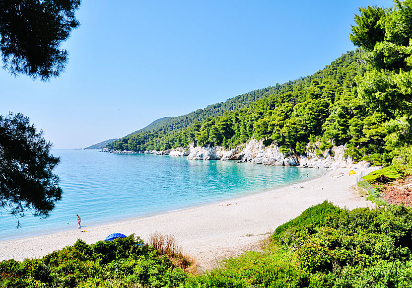 Missa inte Kastani beach när de reser till Mila beach på Skopelos.