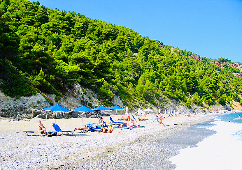 Velanio är en av de vackraste stränderna på Skopelos i Grekland.