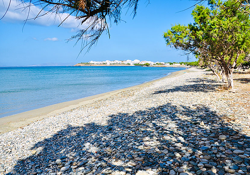Uthyrning av solstolar och bra restauranger längs stranden Agios Fokas på Tinos.