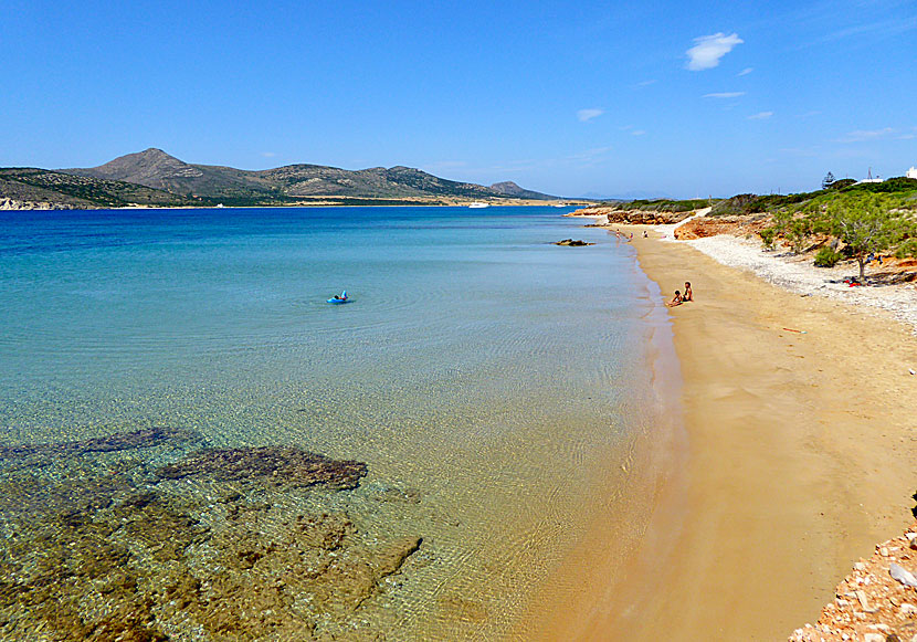 Agios Georgios beach på södra Antiparos är långgrund och passar familjer med små barn. 