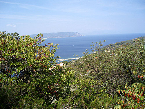 Långt ner syns hamnen i Loutraki (Glossa). Skopelos .