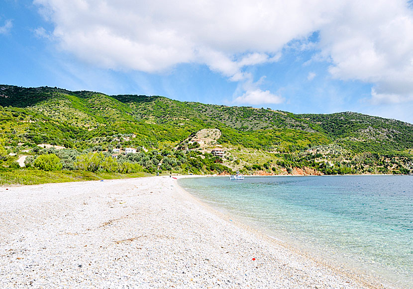 Stranden Agios Dimitrios beach på ön Alonissos i Grekland.