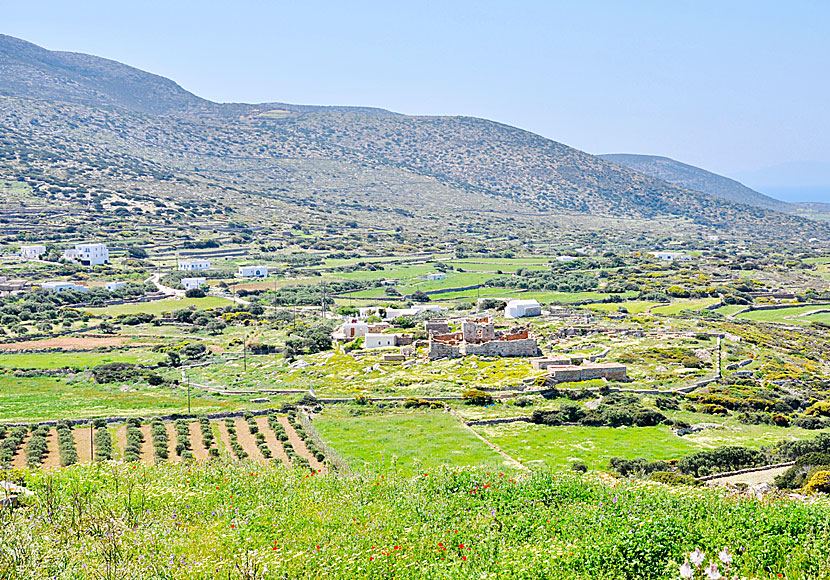 Byarna Arkesini och Kalofana i Kato Meria på Amorgos i Kykladerna.