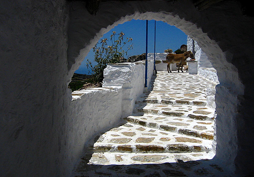 Klostret Agios Theologos ovanför Langada på Amorgos.