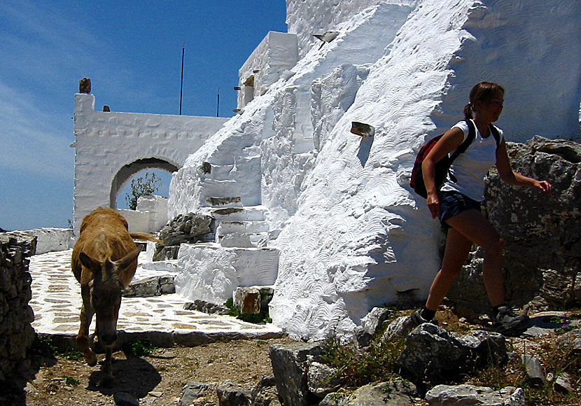 Jag blir hellre jagad av vargar med Orup i klostret på Amorgos i Grekland.