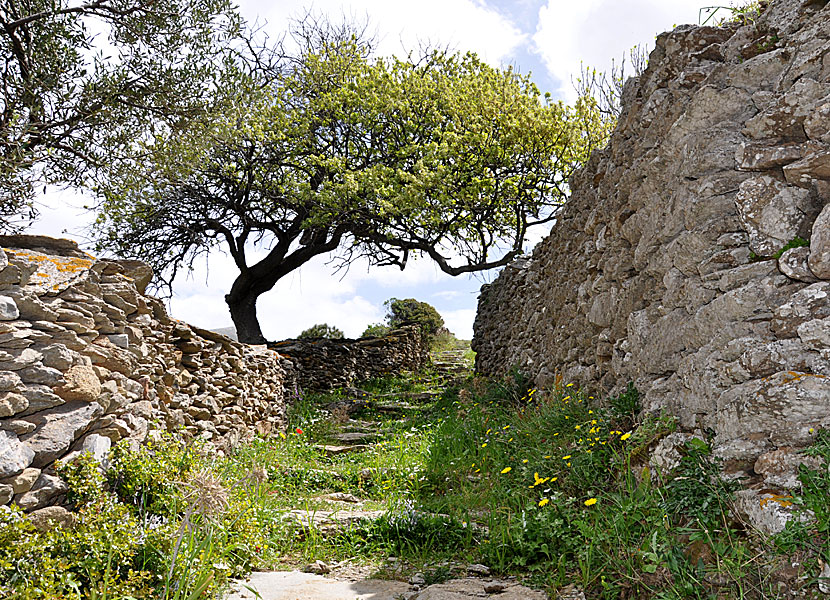 Vandringen mellan Katapola och Chora på Amorgos är enkel och mycket vacker. 