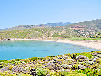 Ateni beach på Andros.