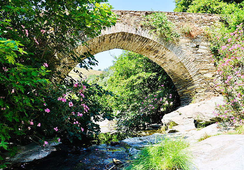 Den vackra gamla stenbron Lion Bridge i Stenies på Andros.