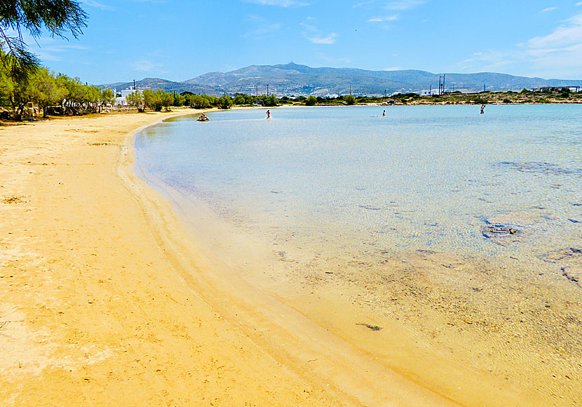 Agios Spiridonas beach är perfekt för småbarn.  Agios Spiridonas beach på barnvänliga Antiparos är perfekt för småbarn.  
