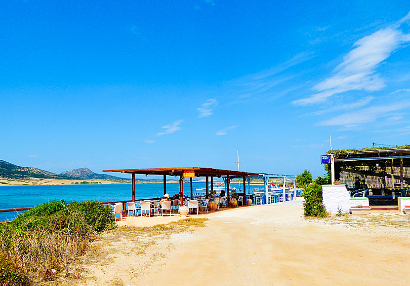 Tavernor och restauranger vid Agios Georgios beach på södra Antiparos. 