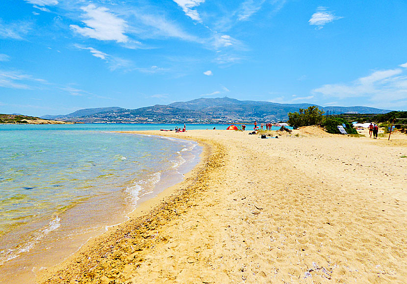 Nudist beach, eller Camping beach, på Antiparos mittemot Paros. 