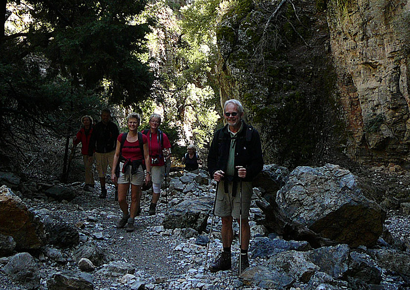 Vandra i Imbrosravinen på Kreta är enkelt. Vandringen tar bara tre timmar. 