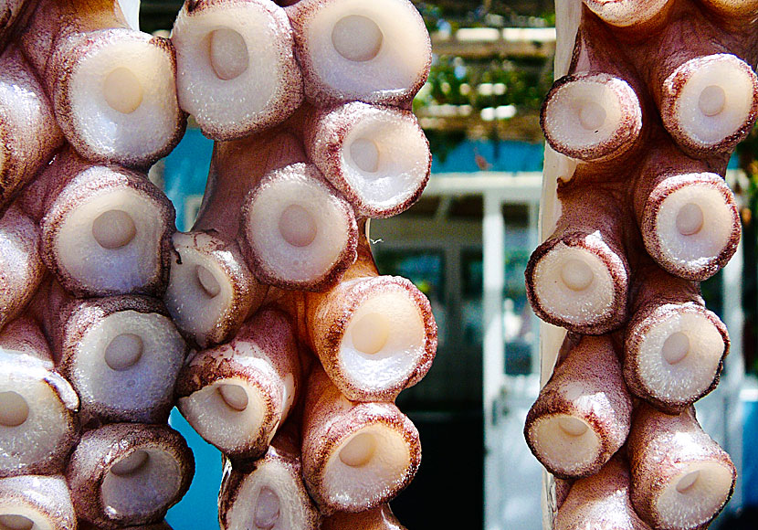 Octopus's Garden med The Beatles och en stor bläckfisk vid stranden Psili Amos 1 på Samos.