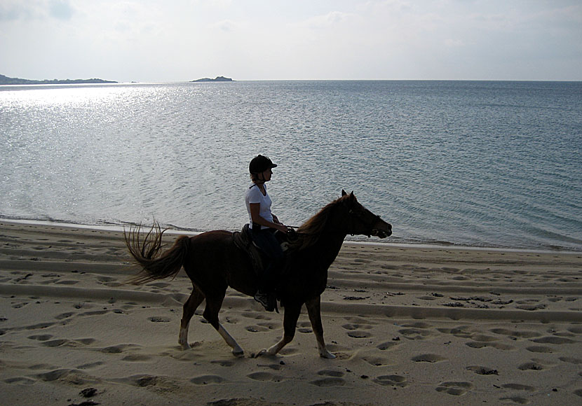 A horse with no name med America som rider häst längs Plaka beach på Naxos.