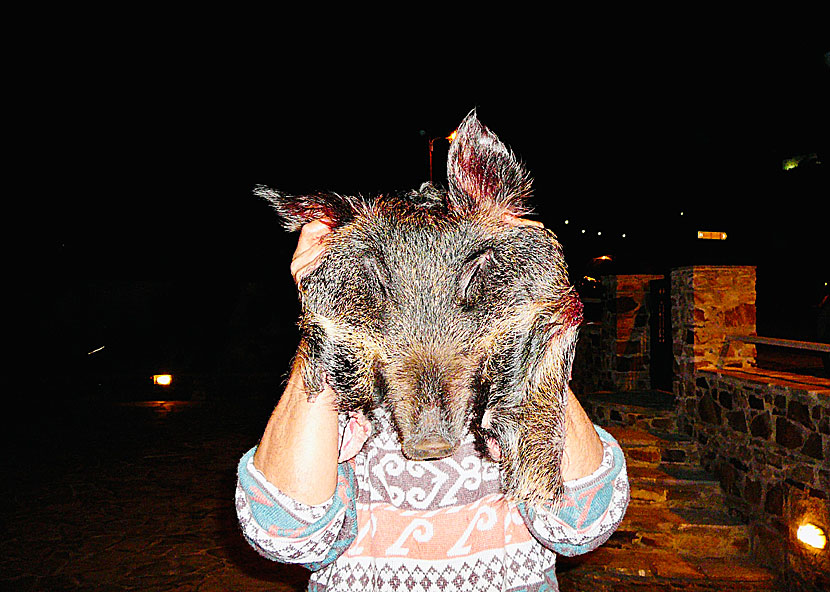 Should I stay or should I go med The Clash på hemlig plats i Grekland.