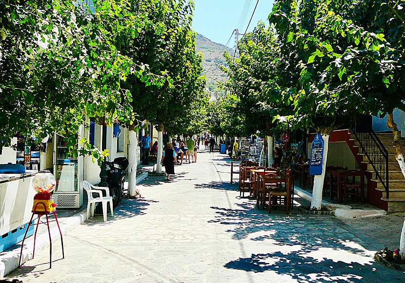 Huvudgatan på Fourni kantas av affärer, tavernor och mullbärsträd. 