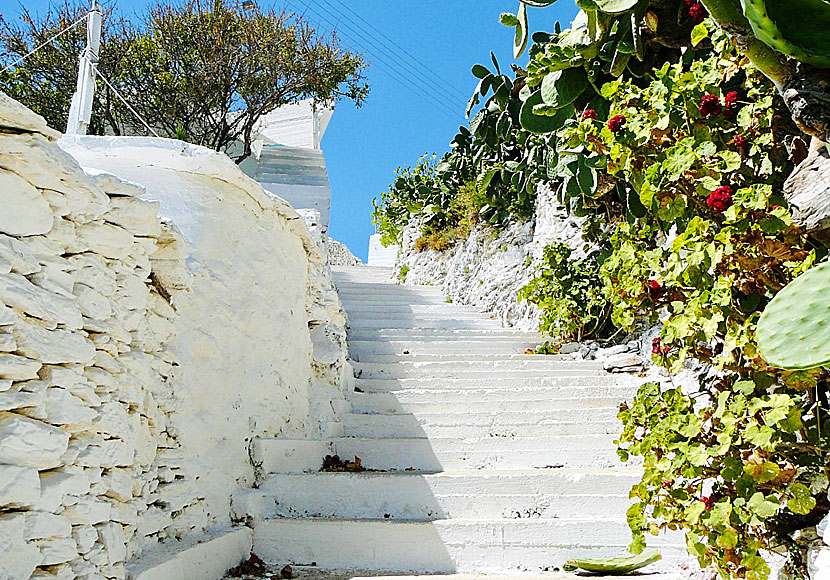 Till Kambi beach på Fourni i Grekland är det 232 trappsteg. 