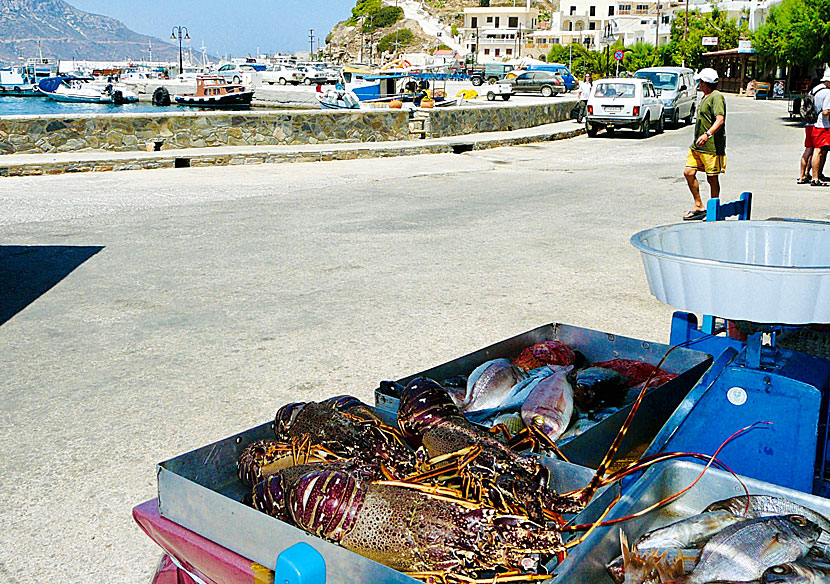Passa på att äta färska skaldjur när du är på Fourni.