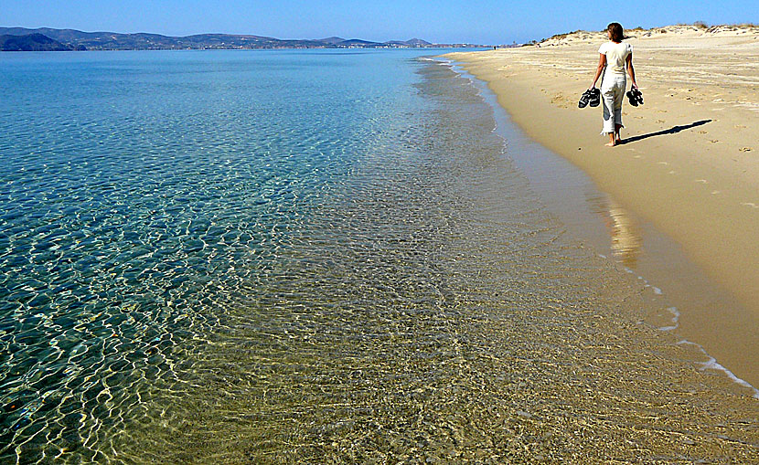 Vandra längs med sandstränderna Plaka, Maragas, Agia Anna och Agios Prokopios på sydvästra Naxos. 