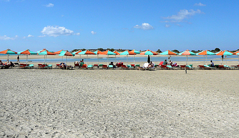 Solstolar på Elafonissi beach på sydvästra Kreta.