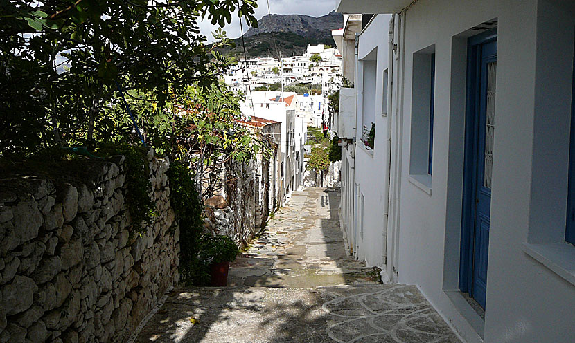 Filoti är Naxos näst största stad och har cirka 1 500 invånare.