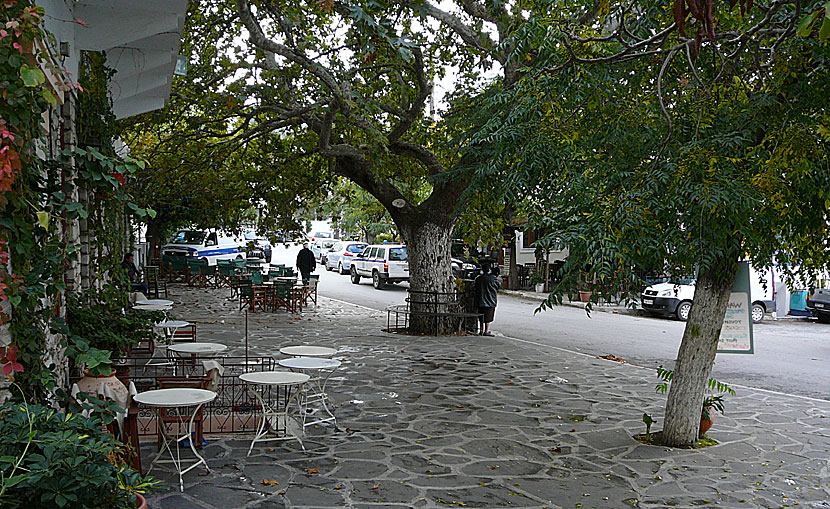 Huvudgatan i Filoti på Naxos med sitt platantorg med kaféer och tavernor. 