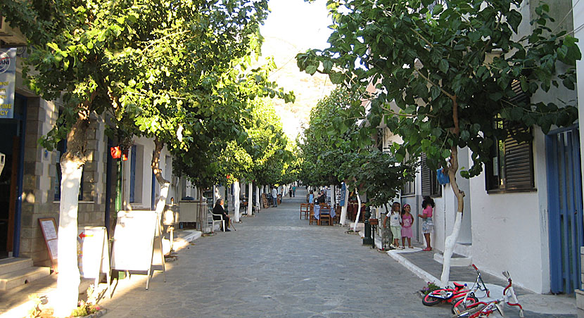Den trivsamma huvudgatan i Fourni by kantas av mullbärsträd.