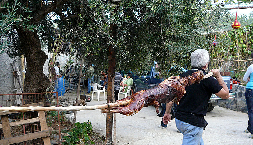 Fest med grillat lamm, raki, musik och dans på Kreta. 