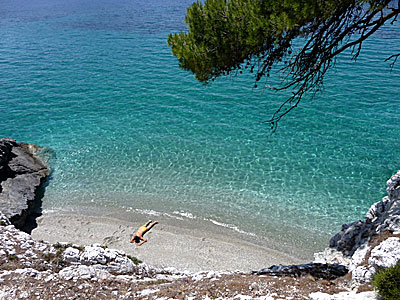 Kalimera beach på Skopelos .