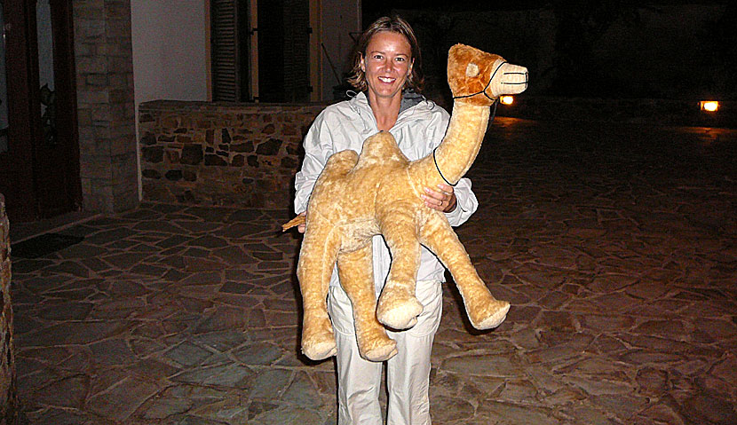 Finns det kameler i Grekland. Ja, på Naxos.