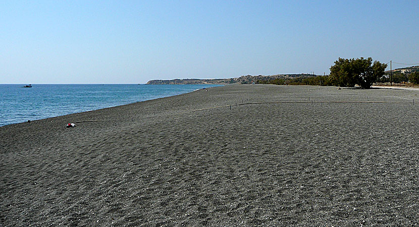 Koutsounari beach nära Ierapetra på södra Kreta.