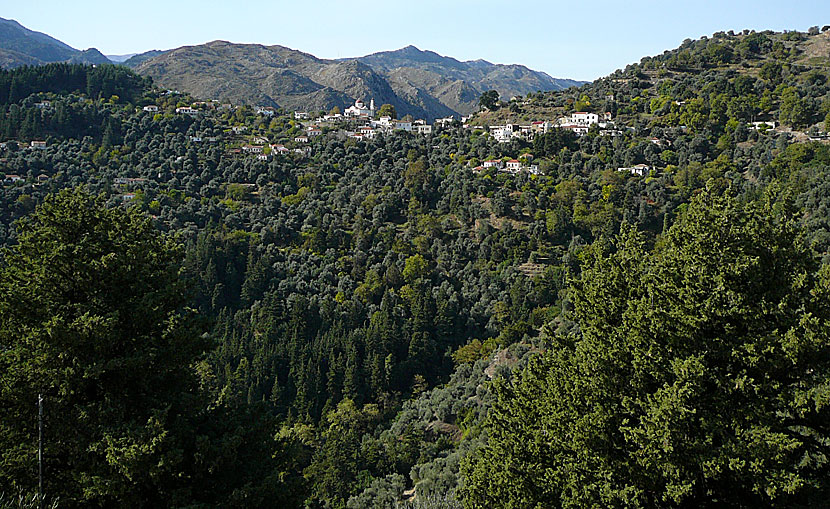 Lakki söder om Chania måste vara en av Kretas vackrast belägna byar. 